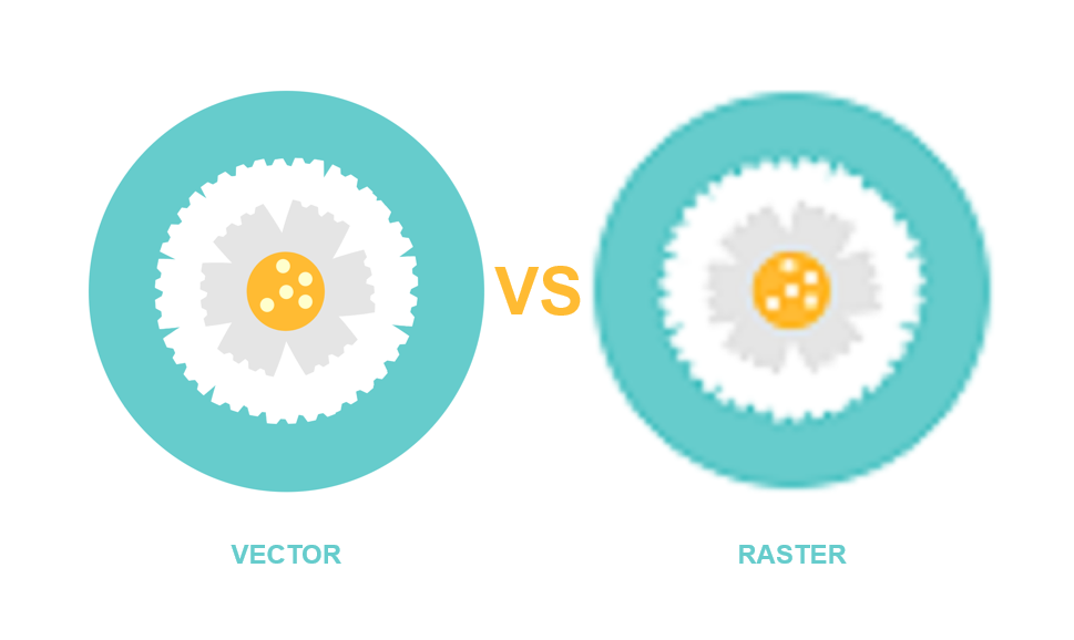 Raster vs. Vector Graphics: When to Use Each and Why It Matters